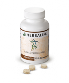 Fiberbond